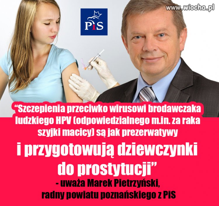 Kolejny yntelygent