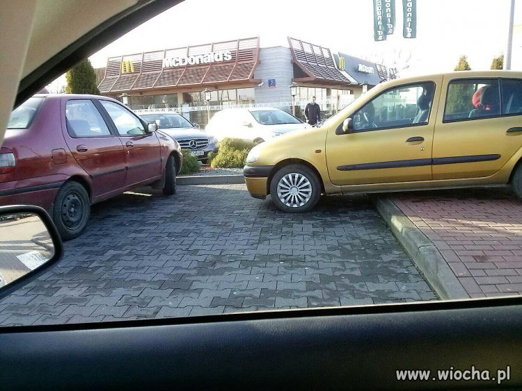 Mistrz parkowania . Rejestracja DTR... zobowiązuje