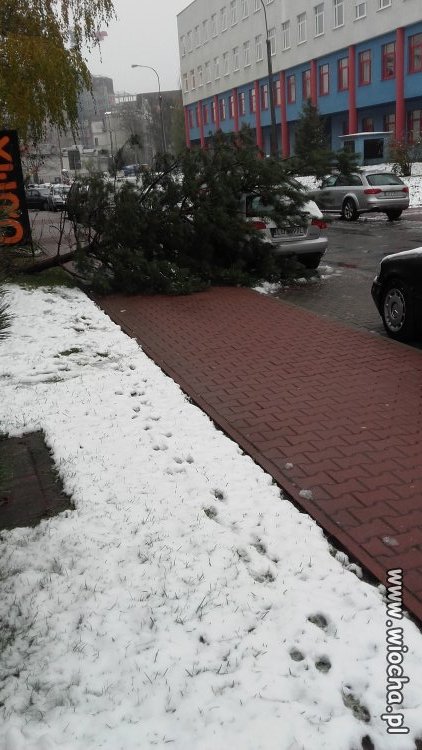 No i zaczęła się zima.