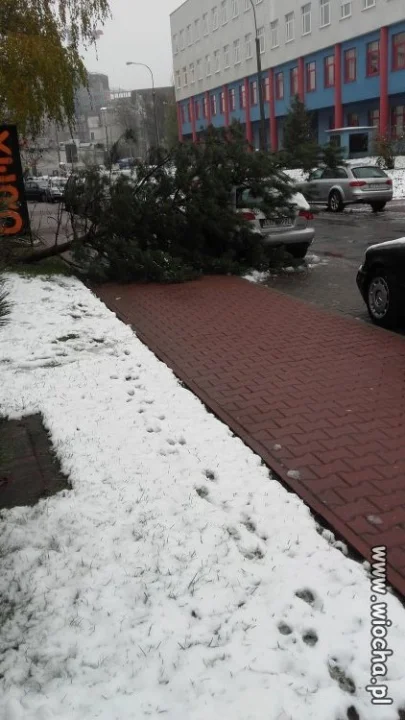 No i zaczęła się zima.