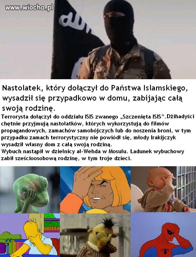Sami się powybijają..