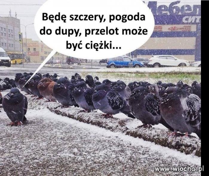 Ale auta same się nie zapaskudzą