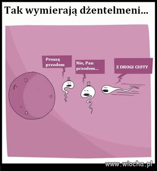 Tak wymierają dżentelmeni