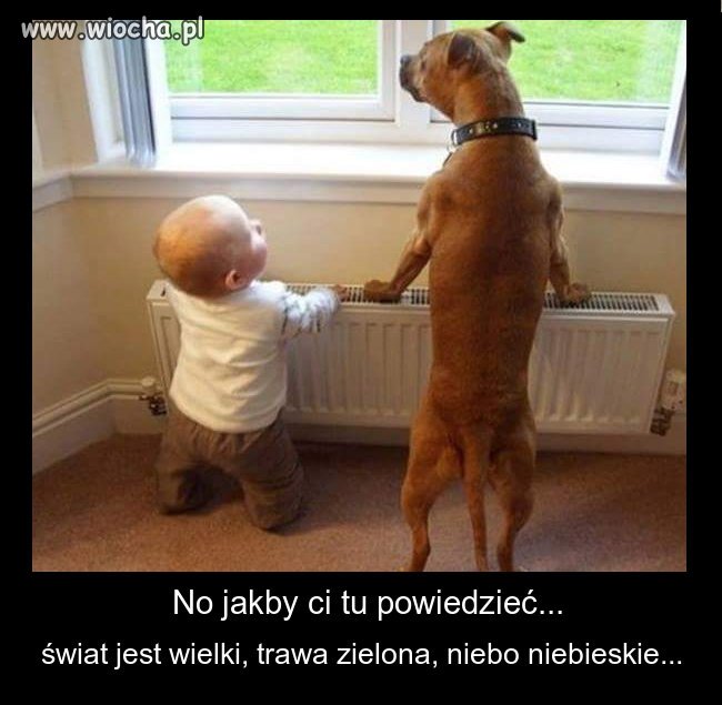 Jeśli sam nie możesz