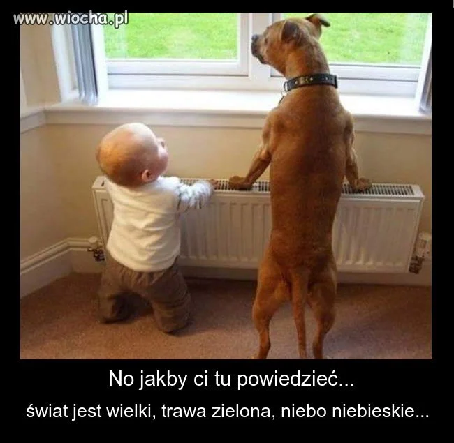 Jeśli sam nie możesz
