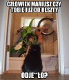 Kot nie rozumie.