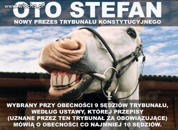 Andrzejkowy cyrk Andrzeja