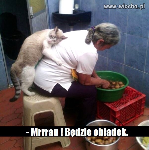  Przez żołądek do serca...
