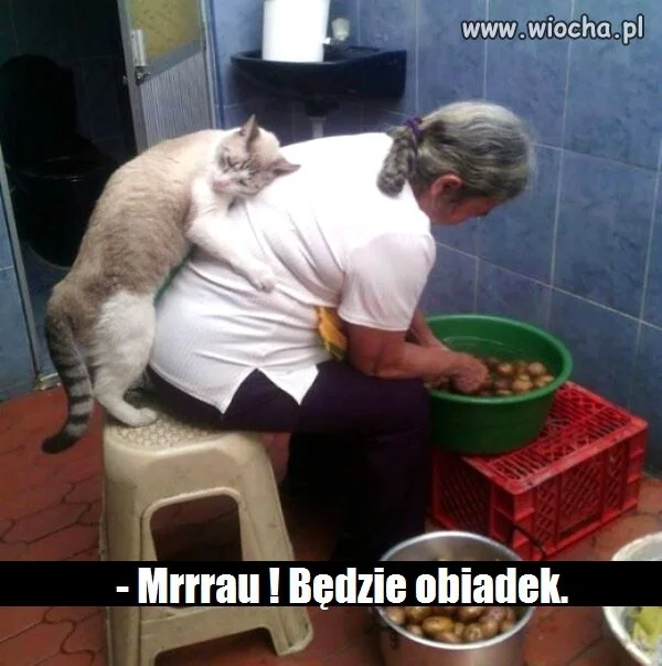  Przez żołądek do serca...