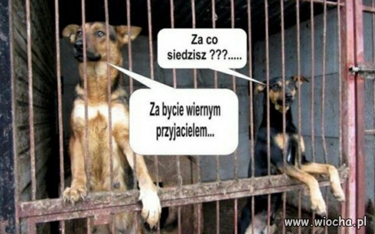 Co Ty człowieku wiesz o niesprawiedliwości?