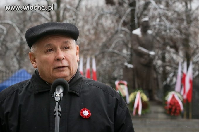 Produkt naczelniko podobny 