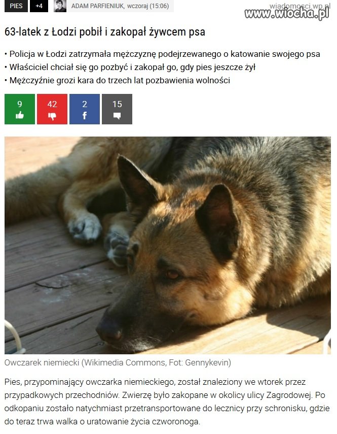 Trzy lata to za mało