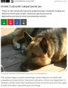 Trzy lata to za mało