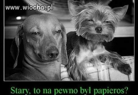 Weekendowy 