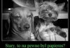 Weekendowy 