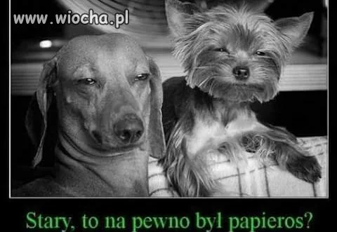 Weekendowy 