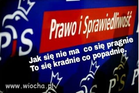 Cały pis