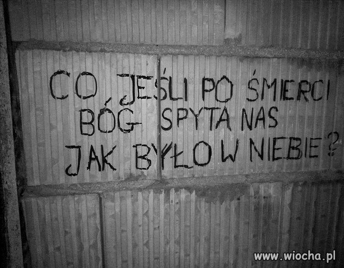 Zielona wyspa, dobra zmiana, teraz niebo-dla kogo to