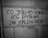 Zielona wyspa, dobra zmiana, teraz niebo-dla kogo to