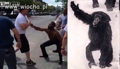 Stopklatka ze starcia białego człowieka z..
