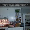 Gdzie jest nasz obiad?