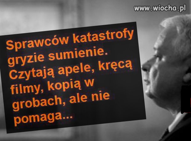 Sumienie ?! 