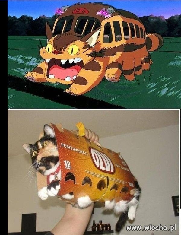 Cosplay roku