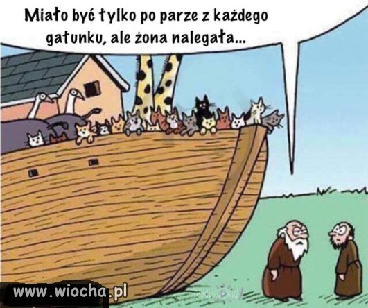 Arka i koteły.