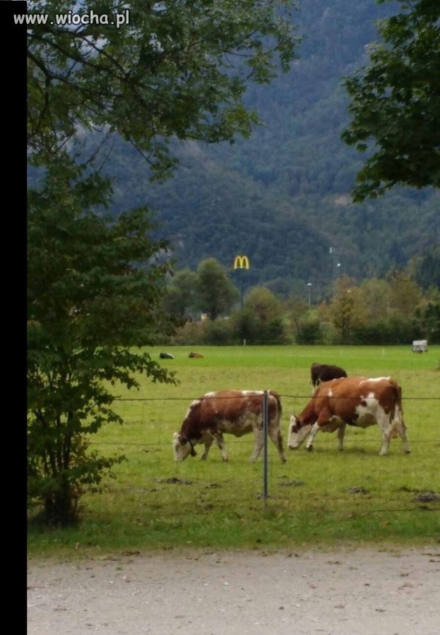 Przeznaczenie czai się w dali