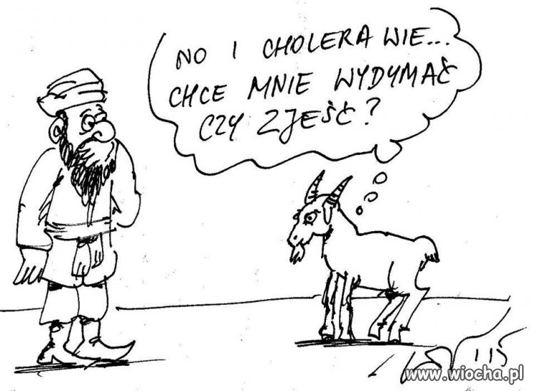 Oto jest pytanie 
