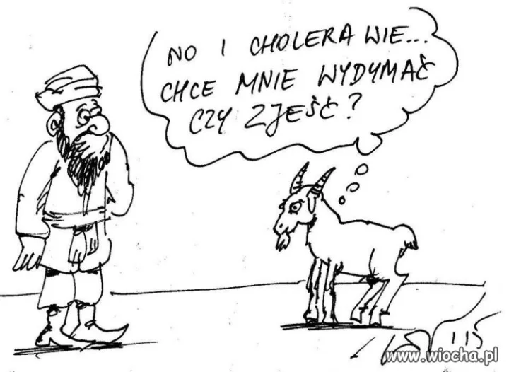 Oto jest pytanie 