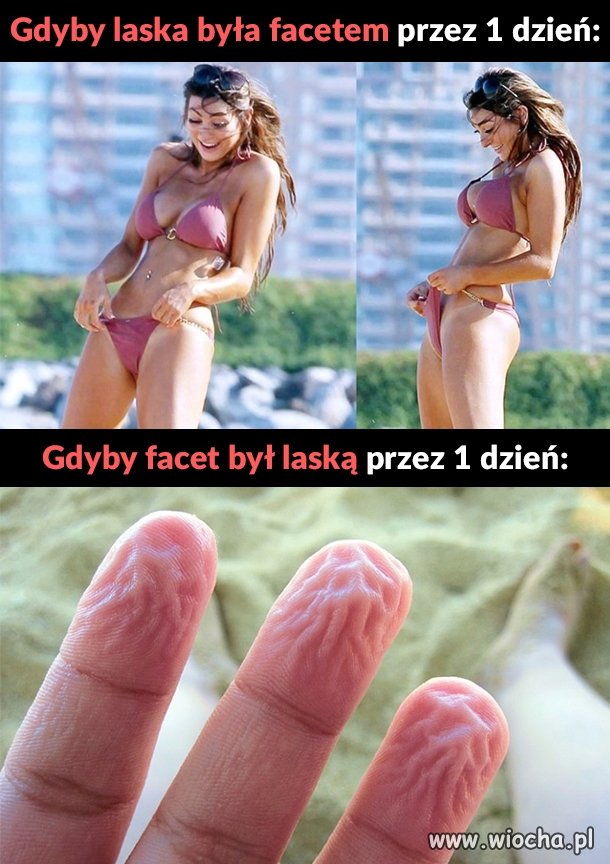 Wstawka dla