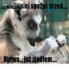 Po terminie.