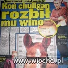 Tragedie z faktu