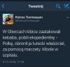 Opis płacze