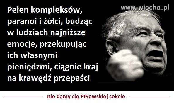 Zakompleksiony stary grzyb 