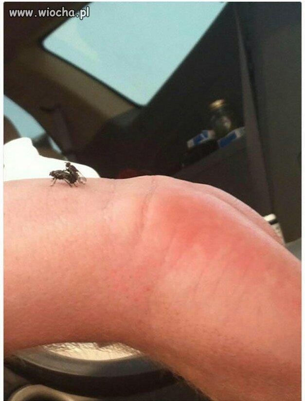 18+   