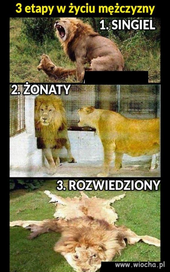 3 etapy.