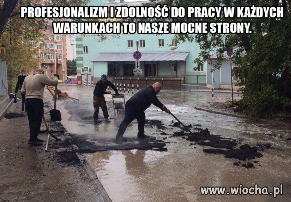 Profesjonalna robota