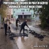 Profesjonalna robota