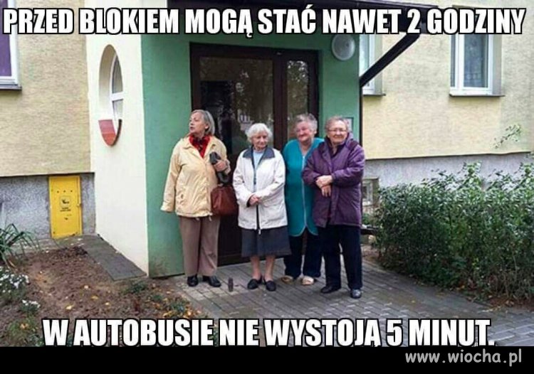 Zawsze mnie to zastanawiało jak one to robią 