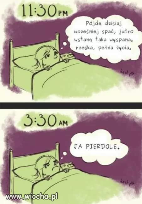 Kto rano wstaje ?