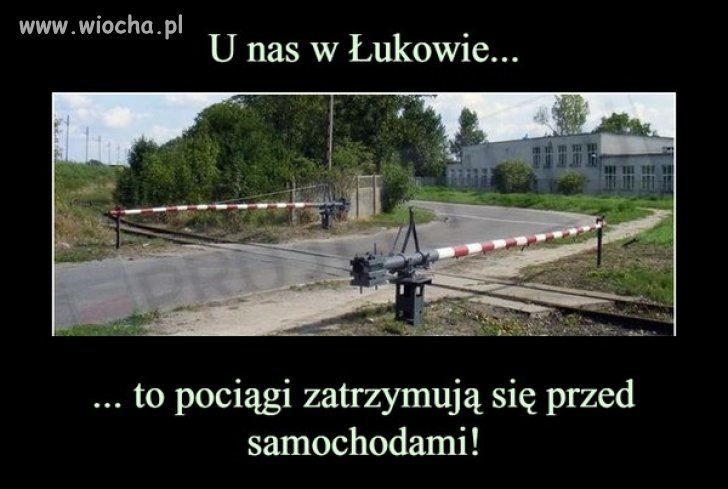Tymczasem w Łukowie