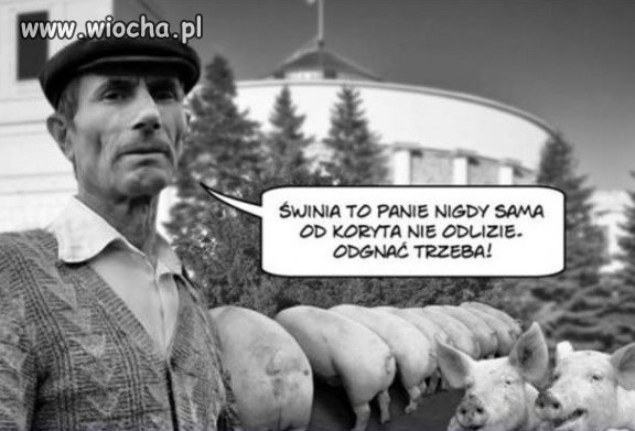 Bez komentarza 