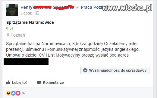 Miła prezencja i komunikatywny angielski