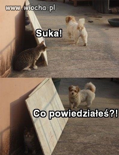 Podwórkowe zagrywki