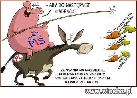 Marchewka na kiju