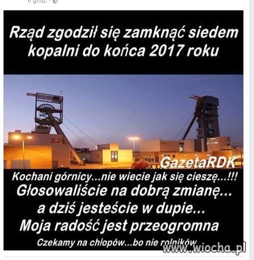 Pewnie to wina Tuska
