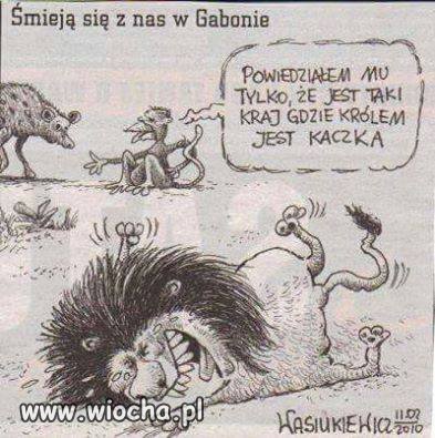 Tymczasem w Gabonie