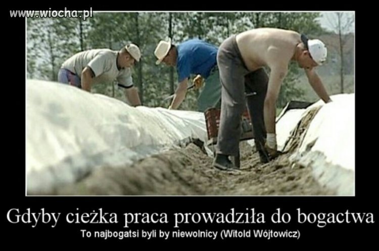 Pamiętaj o tym gdy znów usłyszysz